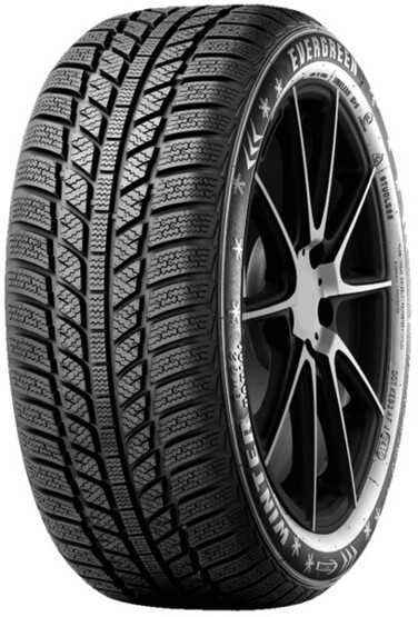 Шина Evergreen Ew62 165/65R14 79T