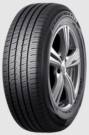 Шина Dunlop Grandtrek Pt5 235/55R19 101V
