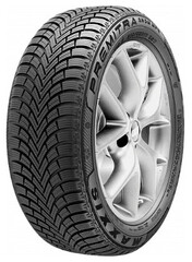 Шина Maxxis Premitra Snow Wp06 Suv 235/55R19 105V